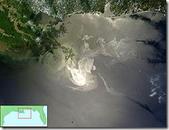 &ldquo;How Has it Come to This?&rdquo; by Dahr Jamail &ndash; Shrimp Fishing in Louisiana Destroyed by Oil Spill